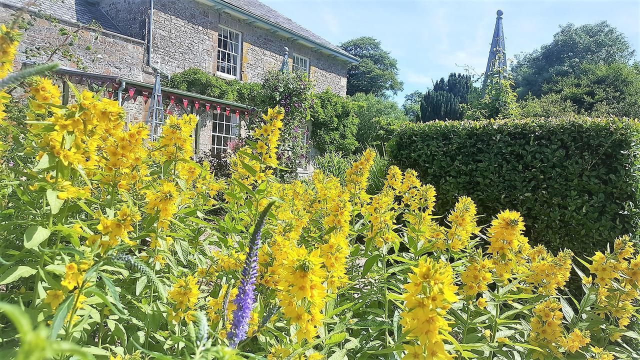 Glebe House Cottages Bude Extérieur photo